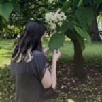 A brown haired person inspects a leaf on a large tree